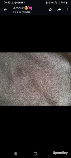 Veste Sapeur Pompier Softshell Polaire