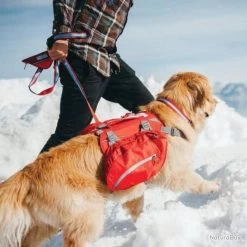 Sac à Dos Pour Chiens Baxter M Rouge Sac à Dos Chien Secours Urgence Survie 8 Sac à Dos Pour Chiens Baxter M Rouge Sac à Dos Chien Secours Urgence Survie -L'équipement tactique est un véritable gagnant. 00003 Sac a dos pour chiens Baxter M Rouge Sac a Dos Chien Secours Urgence Survie