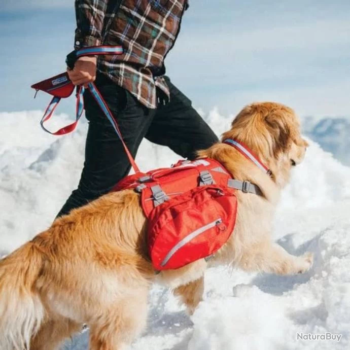 Sac à Dos Pour Chiens Baxter M Rouge Sac à Dos Chien Secours Urgence Survie 5 Sac à Dos Pour Chiens Baxter M Rouge Sac à Dos Chien Secours Urgence Survie – Image 3